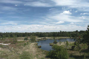 Nationalpark De Maasduinen